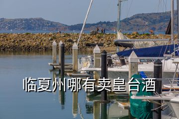 臨夏州哪有賣皇臺酒