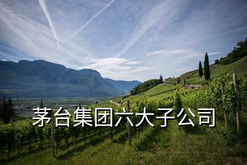 茅臺集團(tuán)六大子公司