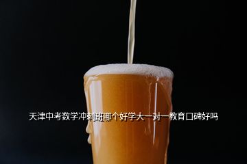 天津中考數學沖刺班哪個好學大一對一教育口碑好嗎