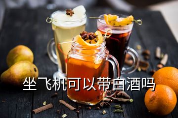 坐飛機可以帶白酒嗎