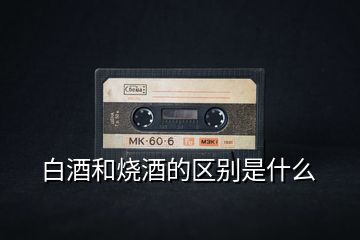 白酒和燒酒的區別是什么