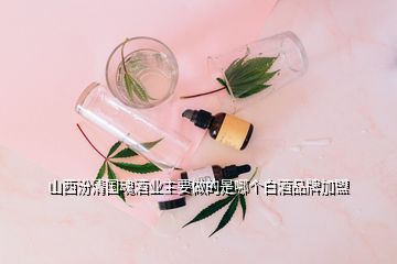 山西汾清國魂酒業主要做的是哪個白酒品牌加盟