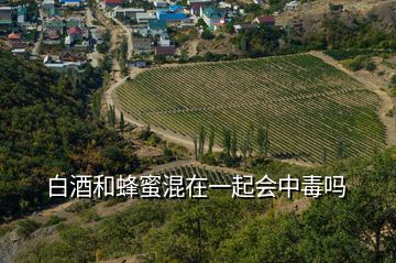 白酒和蜂蜜混在一起會中毒嗎