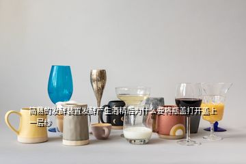 簡易的發酵裝置發酵產生酒精后為什么要將瓶蓋打開蓋上一層紗