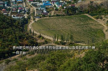 貴州乾交所白酒交易符不符合國家法規以及背后的那個神一樣平臺