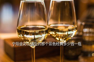 寧陽金彩山酒業的那個藍色經典多少錢一瓶