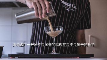 湯溝酒廠一開始不是國營的嗎現在是不是屬于民營了