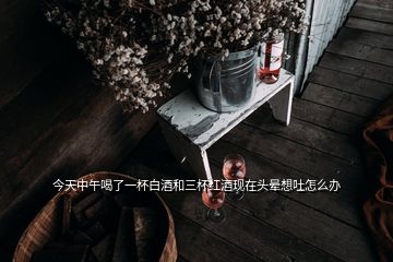 今天中午喝了一杯白酒和三杯紅酒現在頭暈想吐怎么辦