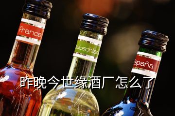 昨晚今世緣酒廠怎么了