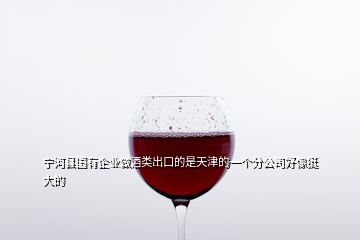 寧河縣國有企業做酒類出口的是天津的一個分公司好像挺大的
