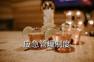 應急管理制度