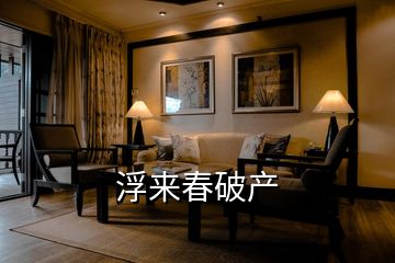 浮來春破產