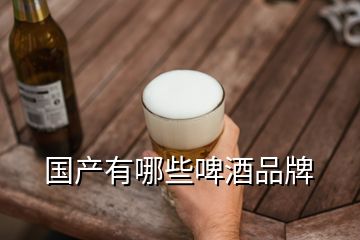 國產有哪些啤酒品牌