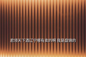 君領天下酒遼寧哪有賣的啊 我是盤錦的
