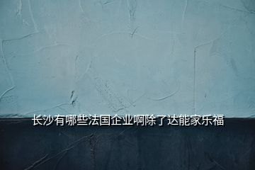 長沙有哪些法國企業啊除了達能家樂福
