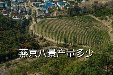 燕京八景產(chǎn)量多少