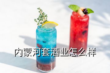 內蒙河套酒業怎么樣