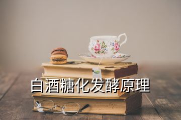 白酒糖化發酵原理