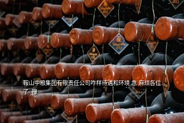 鞍山中糧集團有限責任公司咋樣待遇和環境 急 麻煩各位了  搜