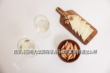 西安亮麗電力集團有限責任公司工資待遇怎么樣