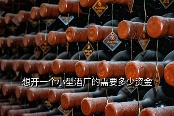 想開(kāi)一個(gè)小型酒廠的需要多少資金