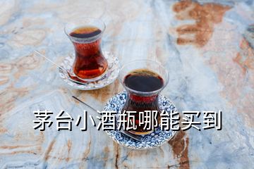 茅臺小酒瓶哪能買到