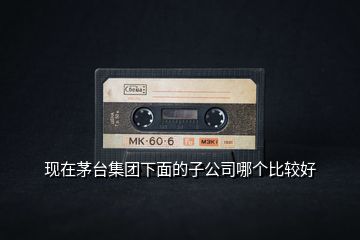現在茅臺集團下面的子公司哪個比較好