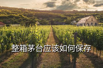 整箱茅臺應該如何保存