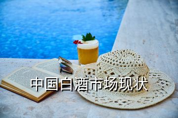 中國白酒市場現狀