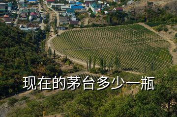 現在的茅臺多少一瓶