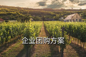 企業團購方案