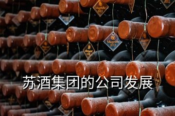 蘇酒集團的公司發展
