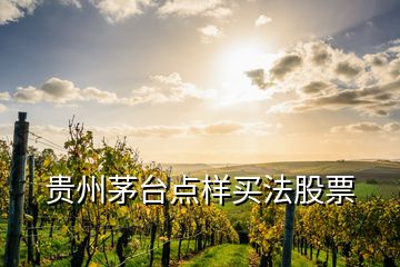 貴州茅臺點(diǎn)樣買法股票