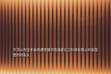 平頂山市寶豐縣商酒務鎮河南海星化工科技有限公司是國營的嗎有人