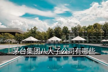 茅臺集團八大子公司有哪些