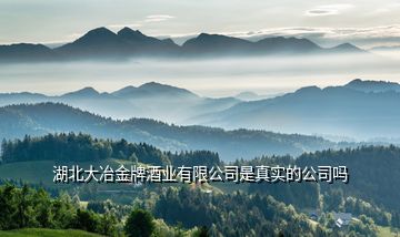 湖北大冶金牌酒業有限公司是真實的公司嗎