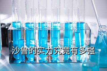 沙魯的實力究竟有多強