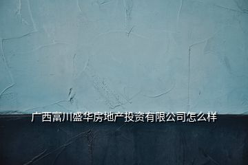 廣西富川盛華房地產投資有限公司怎么樣