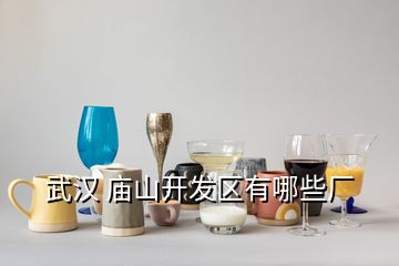 武漢 廟山開發區有哪些廠