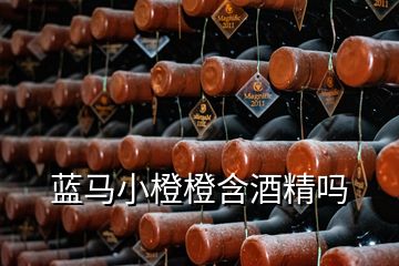 藍(lán)馬小橙橙含酒精嗎