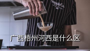 廣西梧州河西是什么區