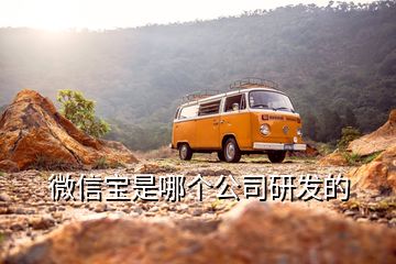 微信寶是哪個公司研發的