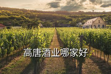 高唐酒業哪家好