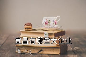 宜昌有哪些大企業
