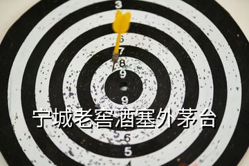 寧城老窖酒塞外茅臺(tái)