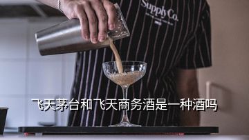 飛天茅臺和飛天商務(wù)酒是一種酒嗎