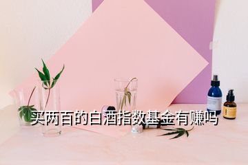 買兩百的白酒指數基金有賺嗎