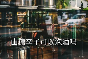 山糖李子可以泡酒嗎