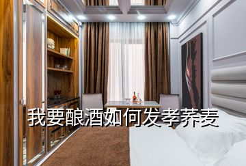 我要釀酒如何發孝蕎麥