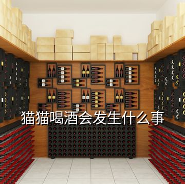 貓貓喝酒會發生什么事